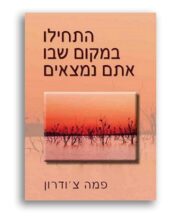 התחילו במקום שבו אתם נמצאים / פמה צ’ודרון